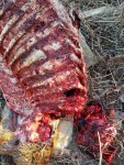 20201209_154935.jpg