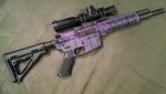 purple zebra1.jpg