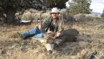 Owyhee buck 018.jpg