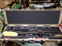 cdx9.jpg