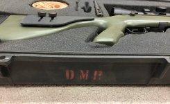 DMR_case_marking.jpg