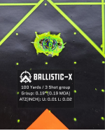 Ballistic-X-Export-2021-02-12 13:41:11.463598.png