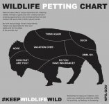 petting chart.jpg