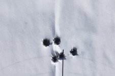 20210320_141740.jpg