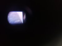 20210407_182414.jpg