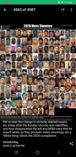 mass shooters 2020 picture.jpg