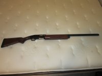 Mossberg 930 Autoloader 001.JPG