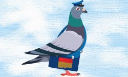 111 MICRO SD PIGEON.jpeg