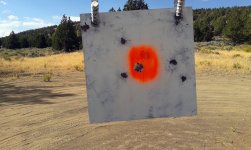 1000 yard 7 shot gorup closeup (small).jpg