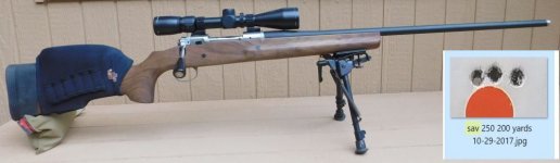 FVSS 250 Savage  with target  from 10-29-2017.jpg