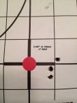 100yds 17 WSM photo.JPG