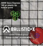 308W Geco Express 165 gr plastic tip hollowpoint 1.jpg