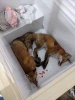 PXL_20201203_181057014.jpg