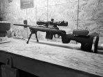 Resized Savage GSR.jpg
