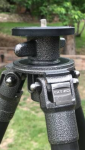 IMG_3591.PNG