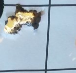 20180801_113457.jpg 20180801_113457.jpg