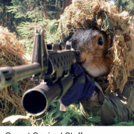DRandi