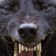 BLKWLFK9