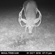 Hoyt7mm