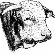Beefmanne