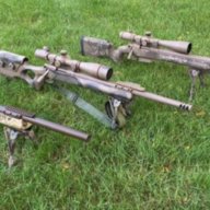 Boltgun7443