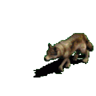 caveman_tx