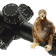 Eaglet