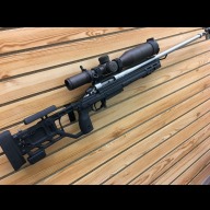 BigPig069