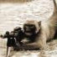 righttobeararms8