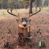 huntsmuleys