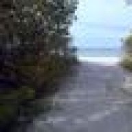 EDoc