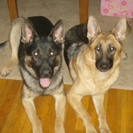 Import_gsd