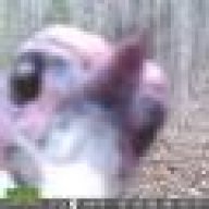 JLeòdhas
