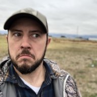 Quiet James