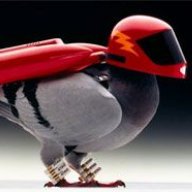 VA-Varminter