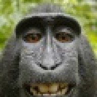 CNJarvis