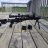 Redlancer049