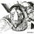 bushwacker7235