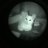 WilliePete-