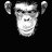 evilmonkey77
