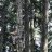 KMANN-