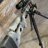 Scruf308