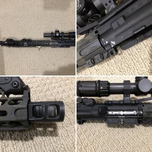 JP15 pics