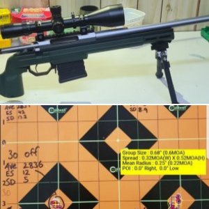 Tikka 223 Build