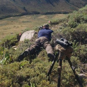Precision Rifle