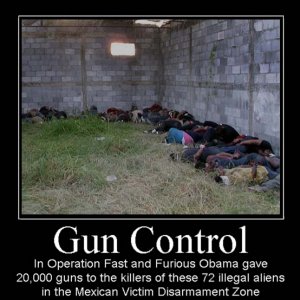 anti-gun-control-motivational-posters-gun-control-obama-fast-and-furious-illegal-aliens-demoti...jpg