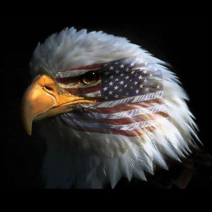 Eagle-Flag.jpg