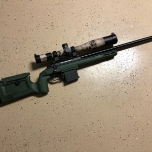 Tikka223.jpg