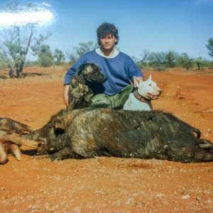 Pasquale Torcasio with two feral pigs