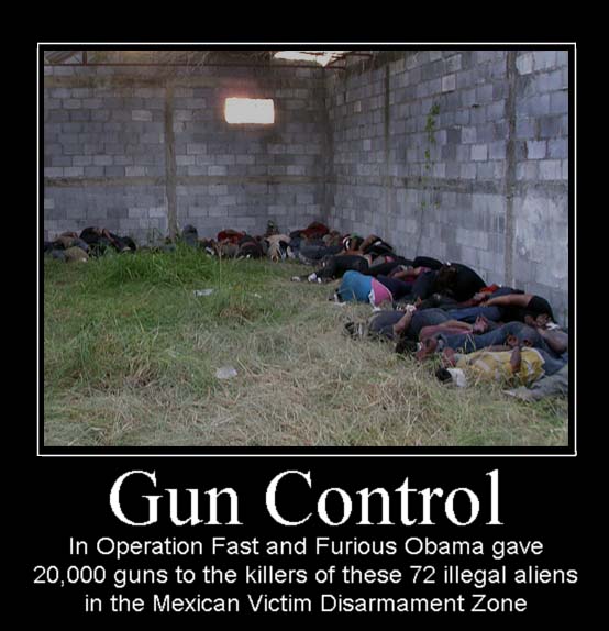 anti-gun-control-motivational-posters-gun-control-obama-fast-and-furious-illegal-aliens-demoti...jpg